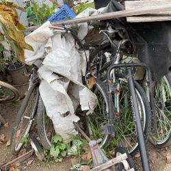 Bikes For Sale 