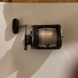 Daiwa Sealine 50 H fishing Reel for Sale in Yonkers, NY - OfferUp