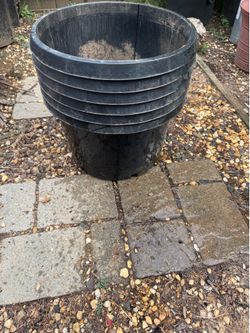 Large 10 gallon plastic tree pot