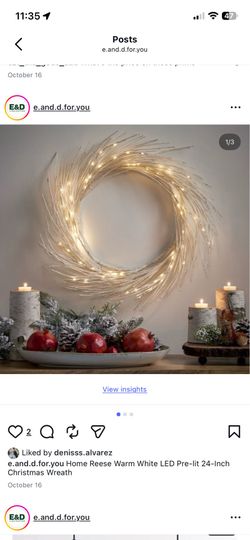 Home Reese Warm White LED Pre-lit 24-Inch Christmas Wreath