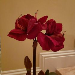 Artificial Red Flowers