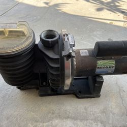 Pool Spa Pump