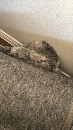 Large area rug