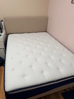 Basically brand new bed ( Used a Mattress cover)