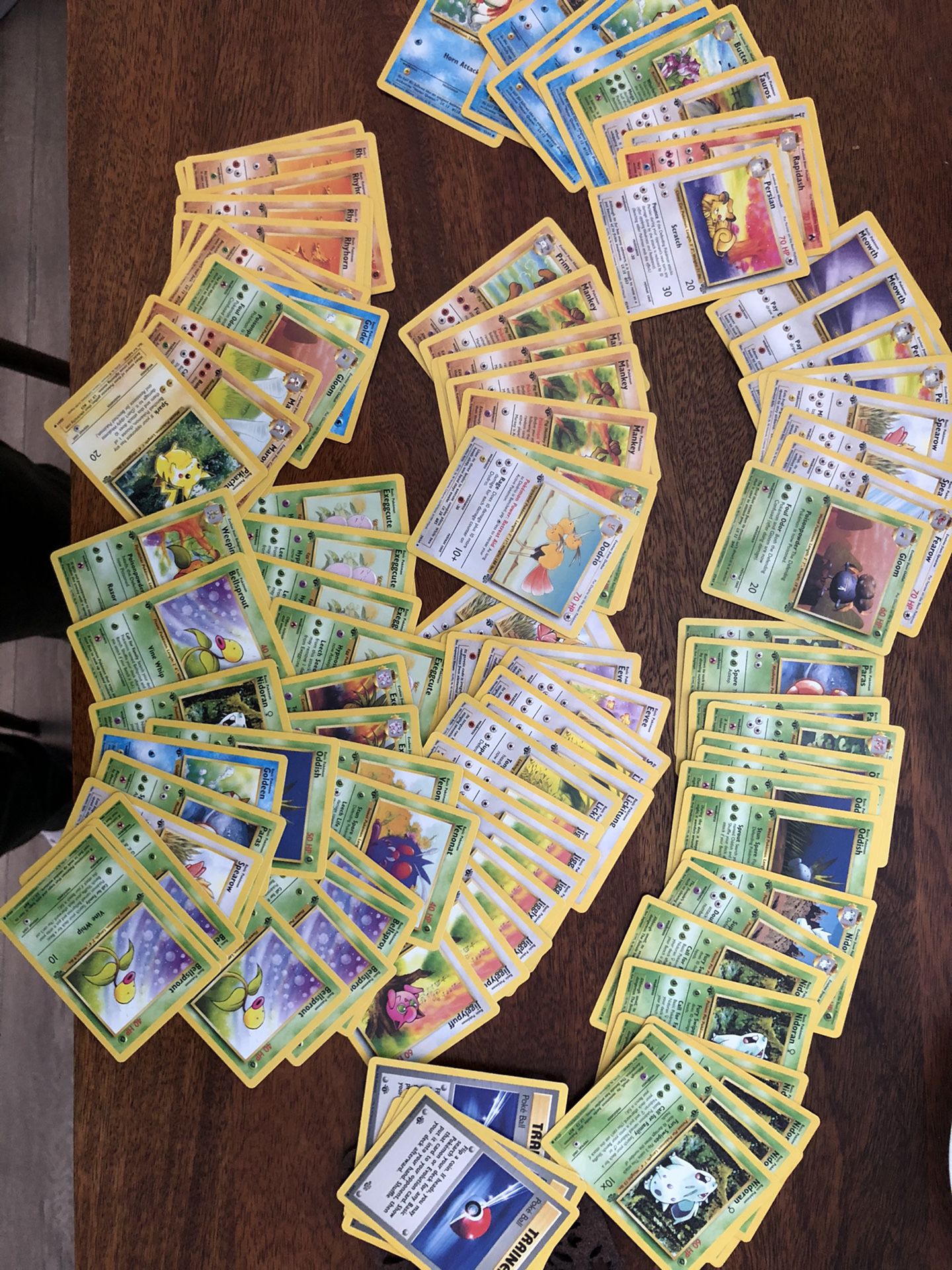 Jungle pokemon cards many 1st editions
