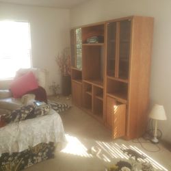 Living Room Shelving 