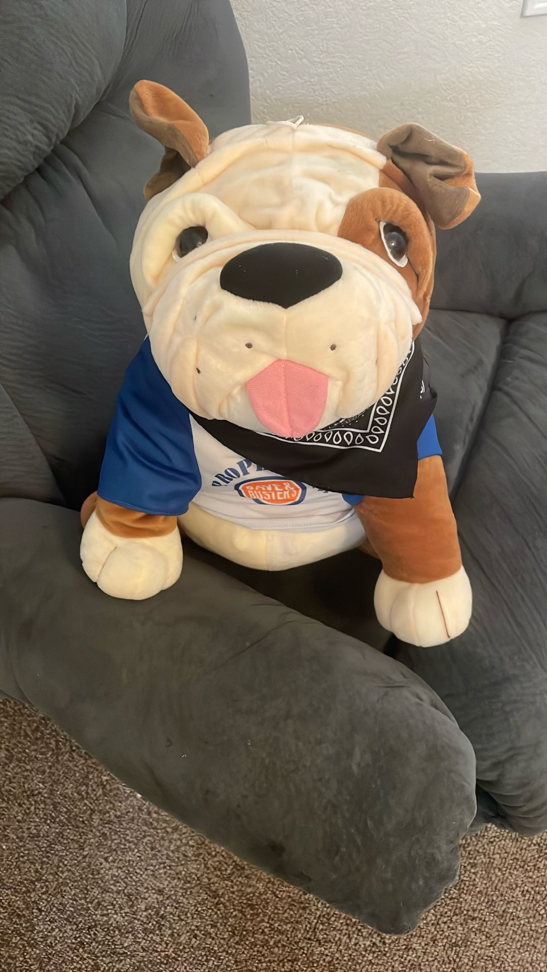 Stuffed Animal
