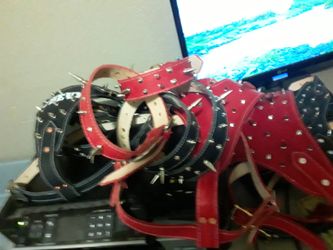 Dog collars 100%leather S,M,L,XL custom with spikes (collar para perro grandes resistentes puro cuero grueso vaqueta)