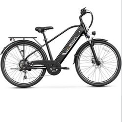 Jasion EB5 Roamer E-BIKE