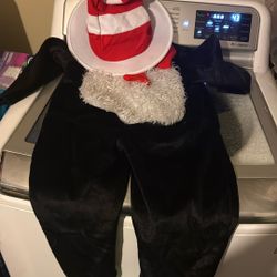 cat in the hat costume