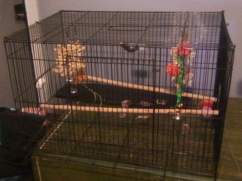 Bird Cage With Perches , Food Dishes And Toys
