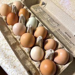 Farm Fresh Eggs