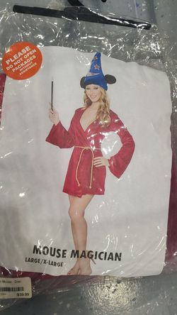 Disney Adult Costume