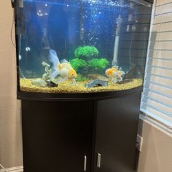 36 Gallon Fish Tank 