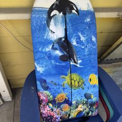 2 Foam Boogie Boards