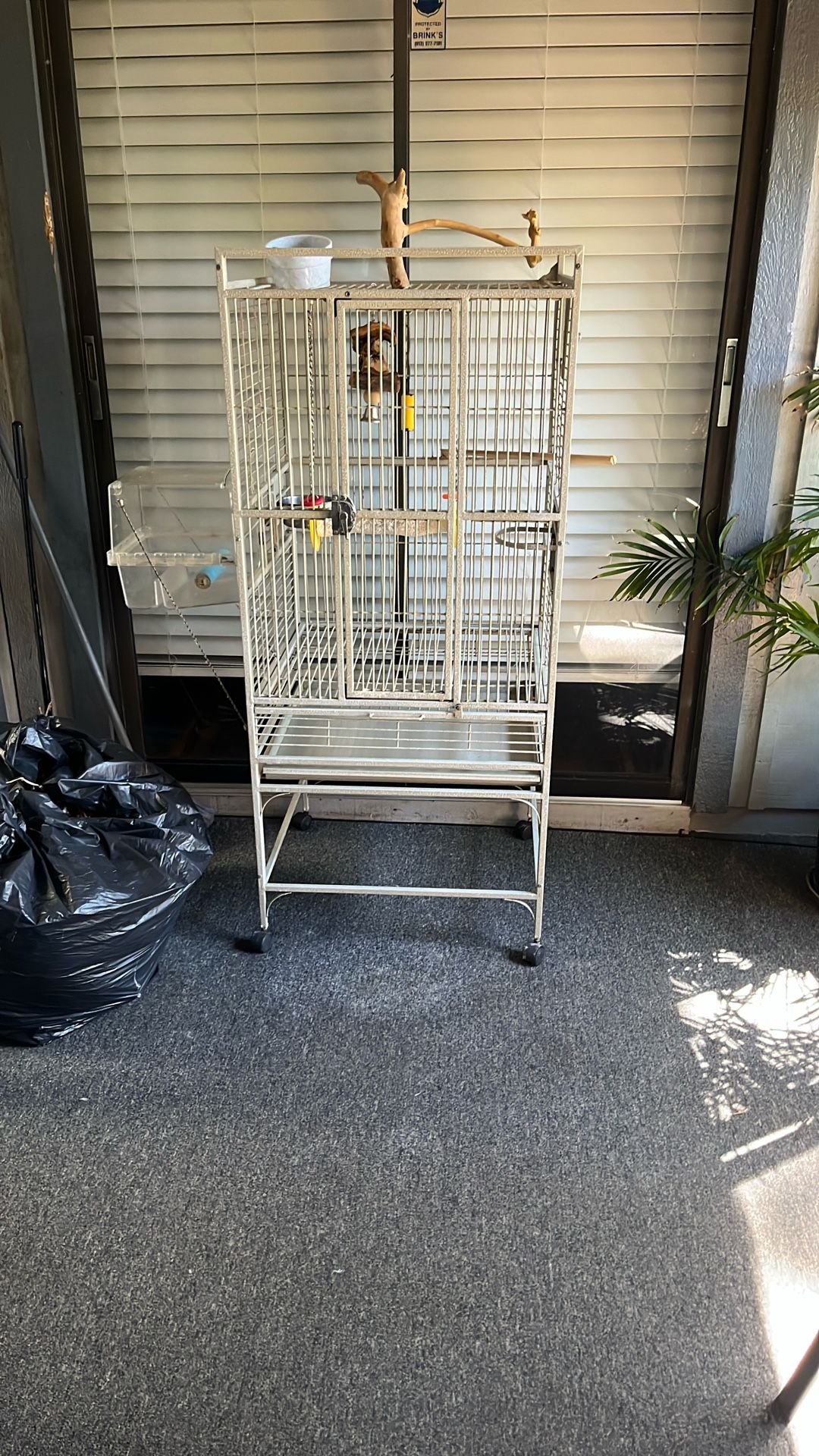 Bird Cage