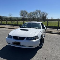 2004 Mustang GT Deluxe - 40th Anniversary 