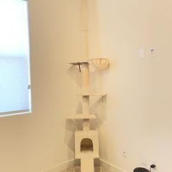Tall Cat Tower