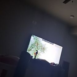 65 Inch Vizio Smart TV 
