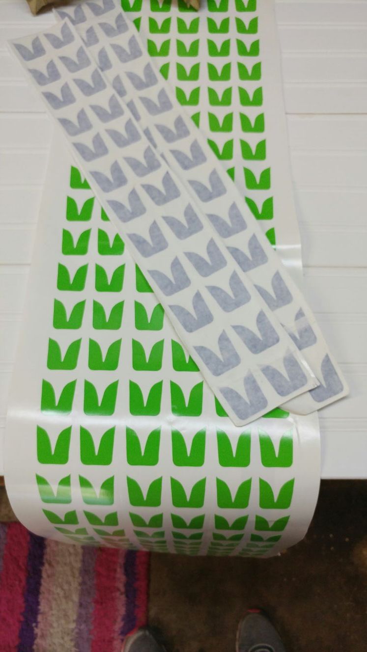 Seahawks feather pinstripe decals
