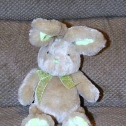 Beautiful Plush Bunny