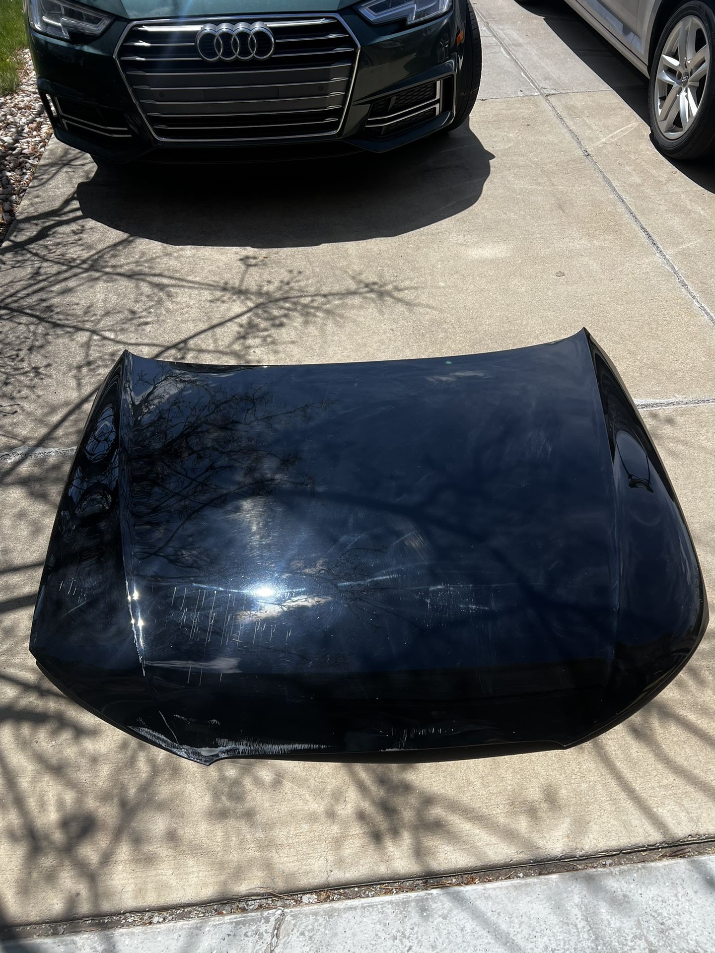 Audi A4 Black Hood Panel