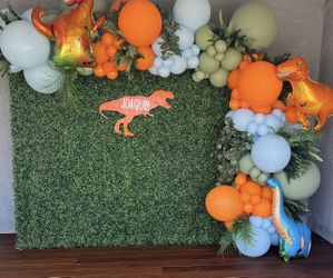 Hedge Green Backdrop Only For Sale