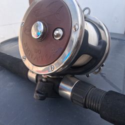 Fishing Pool And Reel  Great Condition 