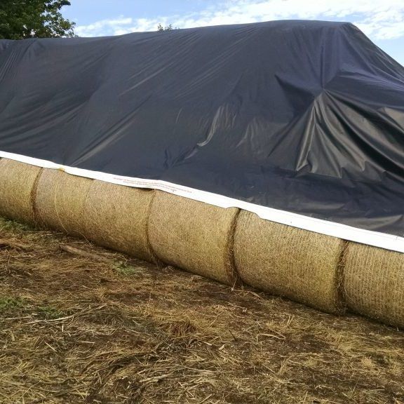 Hay Tarps