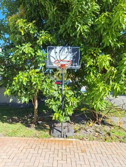 Lifetime Basketball Hoop