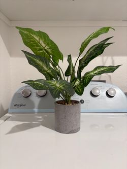 Artificial Green Plant with Decorative Gray Pot
