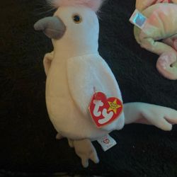 Kuku Rare Beanie Baby
