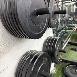 Bumper Plate