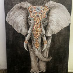 Elephant Canvas