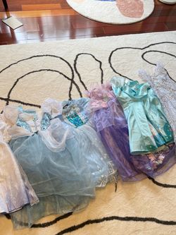 Girls Disney Princess Dress-Up Costume Lot - Elsa, Cinderella, Frozen