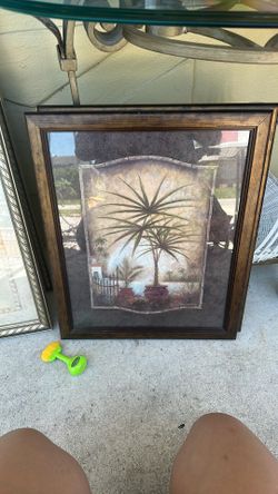 Frames Palm Trees