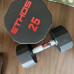 Dumbbells ETHOS 