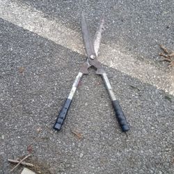 Nice Sharp