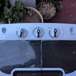 Zany Twin Tub Washing Machine 