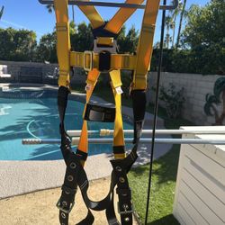 Harness And Lanyard 