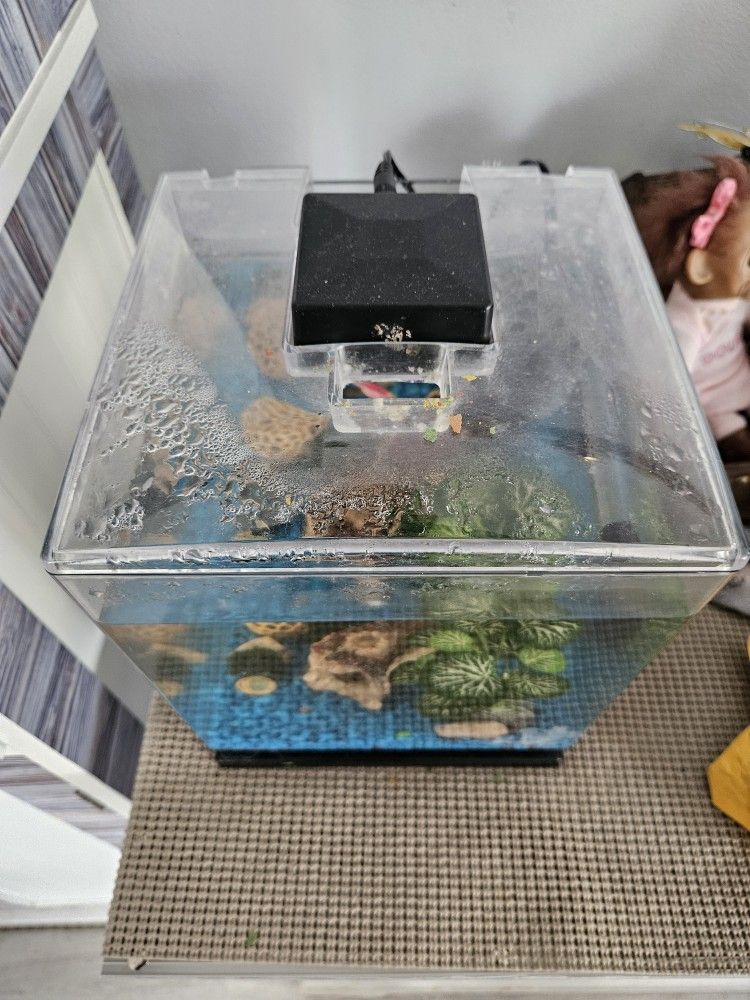 Small Fish Tank