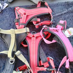 Strongest Padded Harness Medium Size