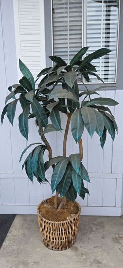 Large Artificial Tropical Tree in Wicker Basket. 6ft tall.