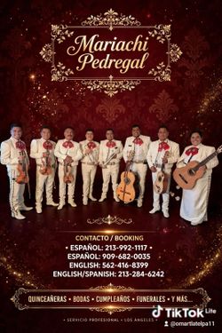Mariachi pedregal de los angeles