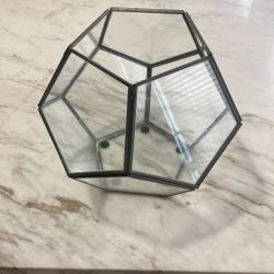 Hexagon Terrarium With Open Top 