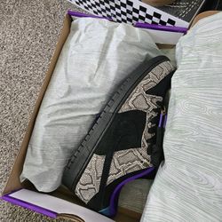 NEW Nike SB (Size 10.5) 