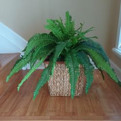 Boston Fern (Faux) 24"H In Wicker Basket - Planta Helecho Artificial 
