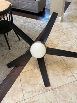 Ceiling fan