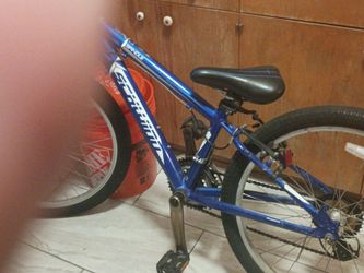 Spindal schwinn