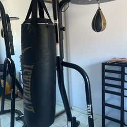 Everlast Punching Bag With Speed Bag 